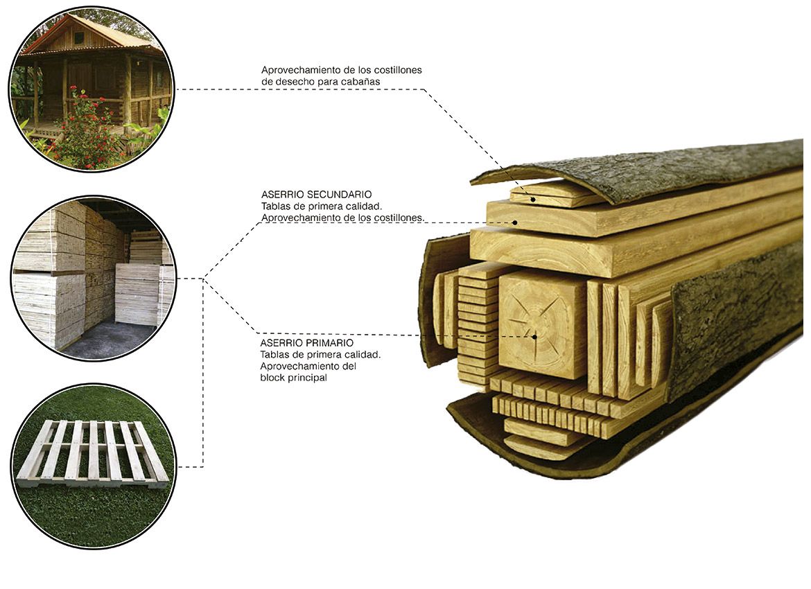 Empresa especializada en la maximización de la madera en Costa Rica